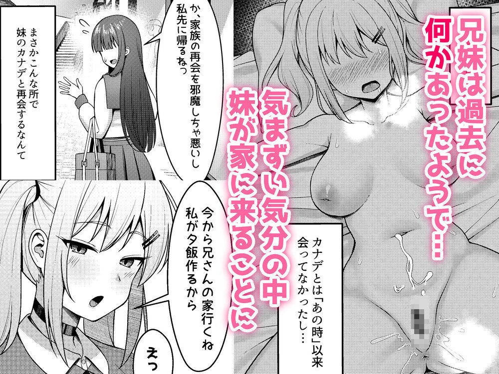 兄ラブ高湿度長乳妹に迫られて孕ませちゃう話 画像2