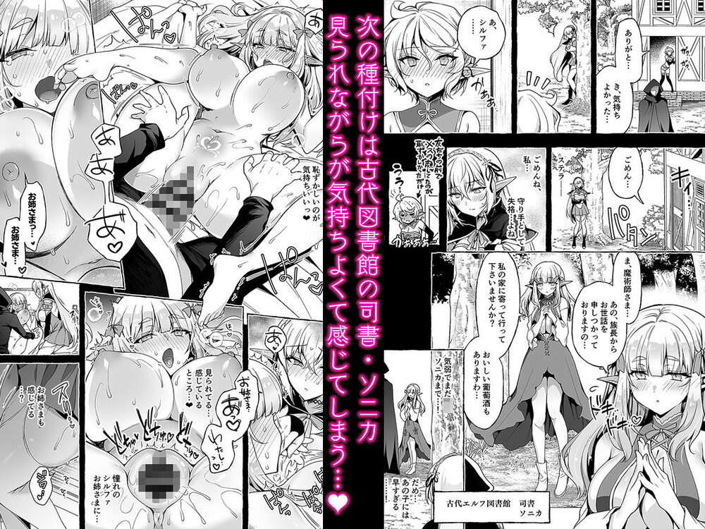淫紋魔術師のエルフハーレム 画像3
