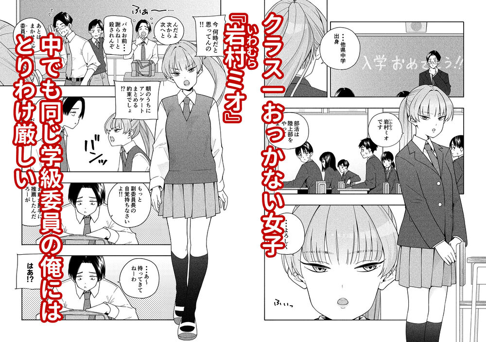 カムフラージュ 画像1